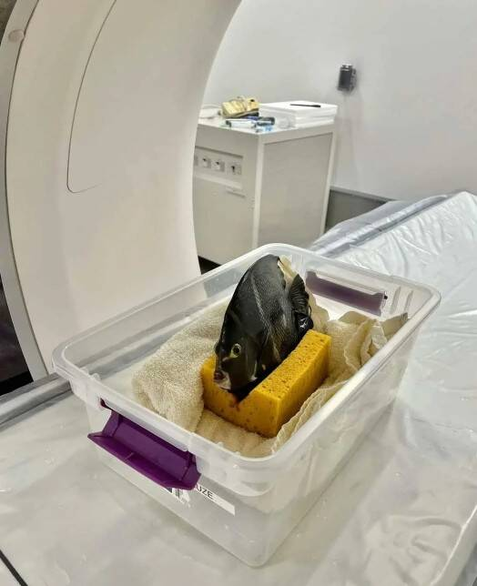 15 интересных фактов как доказательство, что всё не так банально, как кажется