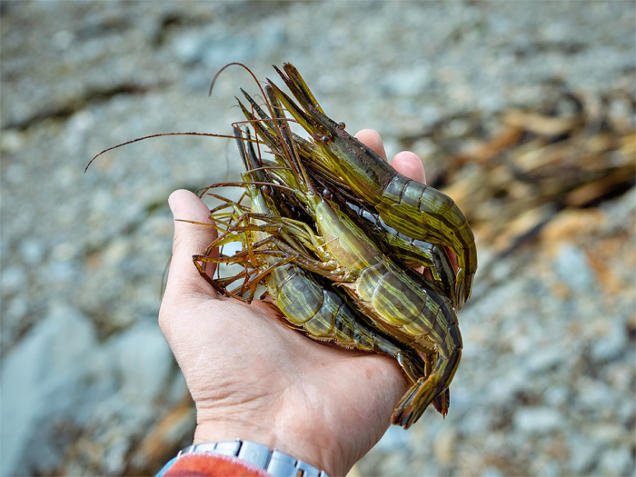 Едем дальше: новая туристическая карта России