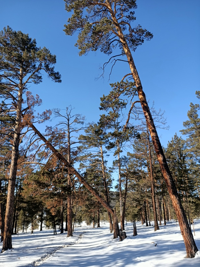 Байкал. Февраль 2023. День 6. Один на один (более 30 км пешки)