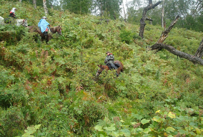 «Закрой глаза и держись за седло» Россиянка преодолела верхом на коне самые труднодоступные маршруты России. Как ей это удалось?