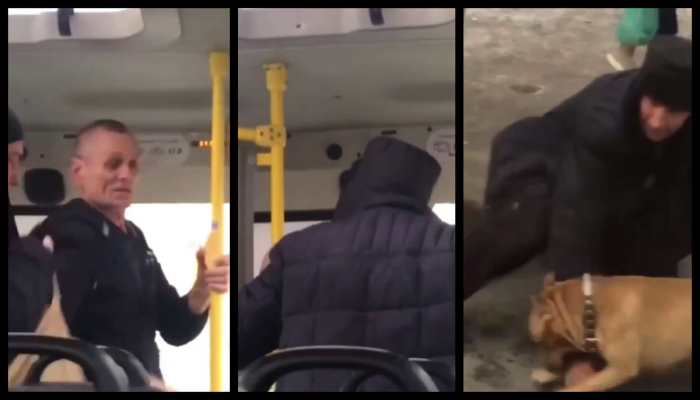 Весь автобус встал на защиту водителя после того, как иноземец скомандовал собаке на водителя