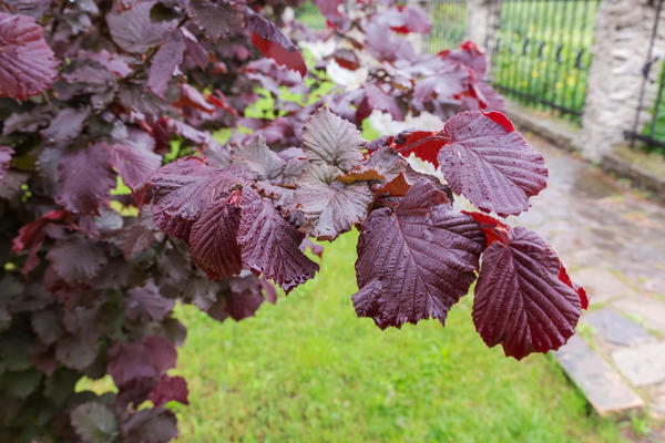 Одна из главных целей среднестатистического дачника — собрать большой урожай: и семью обеспечить, и соседей впечатлить