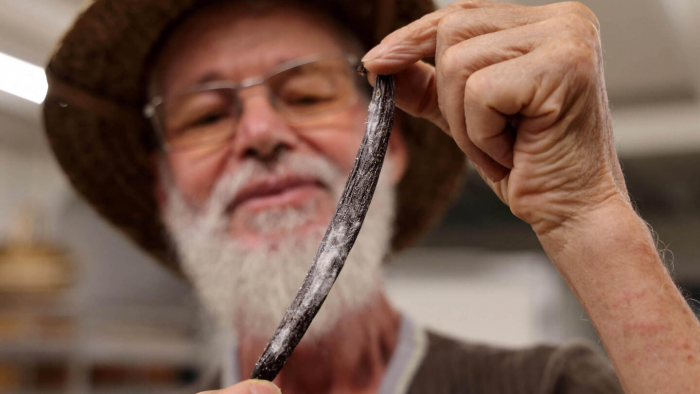 Почему ваниль — это одна из самых дорогих пряностей в мире