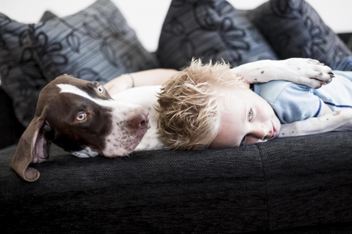 Как сказать кошке или собаке, что вы их любите