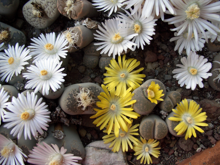 Turogo.ru - Туризм, охота и рыбалка