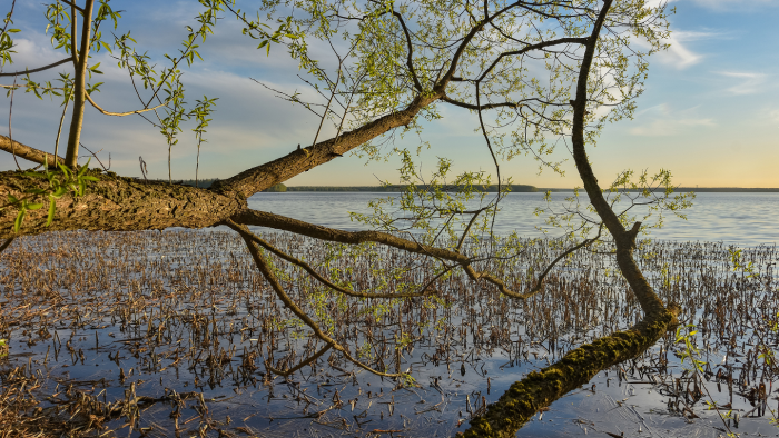Река Иртыш: что мы знаем о могучем притоке Оби