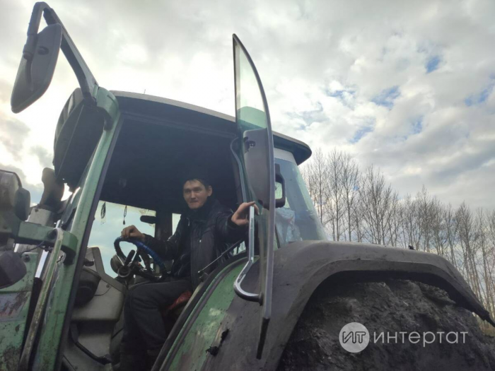 Татлы тамыр казып алына: Чөгендер басуында батмадык, шикәр заводына керә алмадык