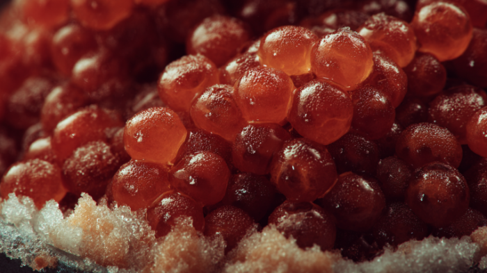 Настоящая или подделка? Как распознать искусственную икру