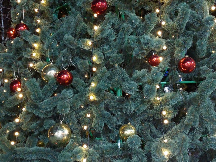 Новый Год в библиотеках округа встретят играми, викторинами, кинопоказами