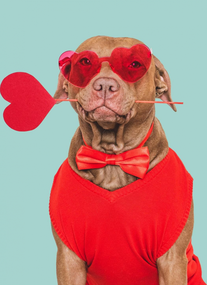 Лучшие открытки и поздравления ко Дню святого Валентина