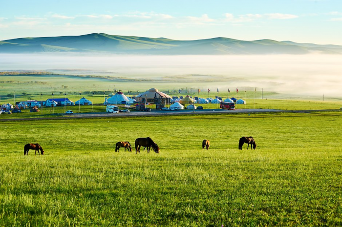 «Дает то, чего сейчас почти нигде не купишь» Почему Монголия внезапно начала набирать популярность у россиян?
