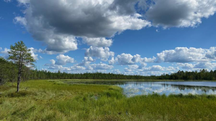 На берегу этой тихой реки: зачем ехать на выходные в Тверскую область