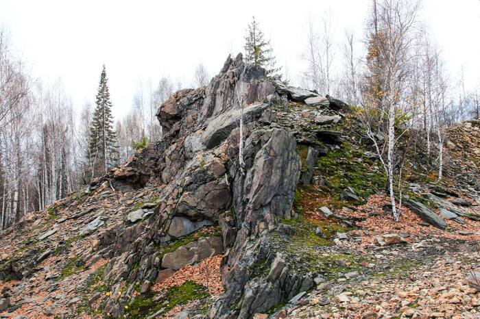 Любите путешествовать на электричке?