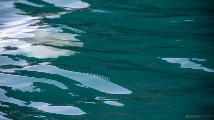 В Магнитогорское водохранилище выпустили 50 тысяч штук молоди сазана