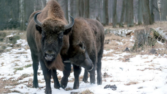 В экоцентре "Яуза" устроят путешествие по заповедникам России