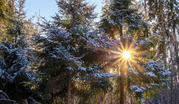 Москвичей приглашают на прогулки по природным территориям столицы