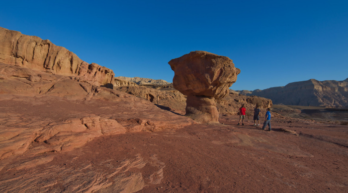 Горы, море и чёрнопятнистый иглобрюх: почему надо ехать в Израиль прямо сейчас