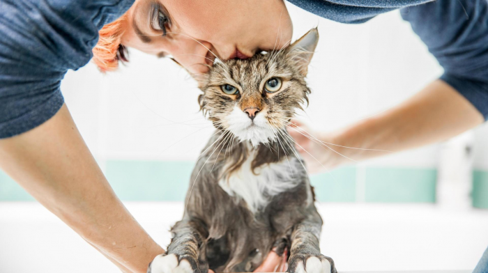 Turogo.ru - Туризм, охота и рыбалка