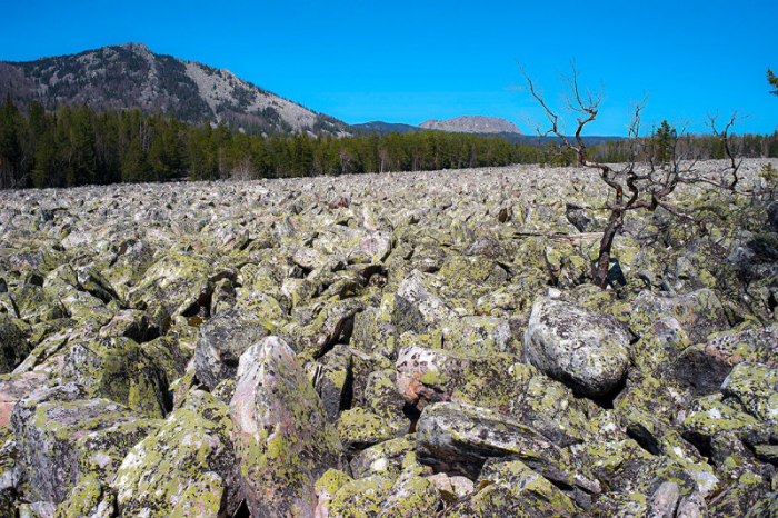 Каменные реки в России. Подождите, что?