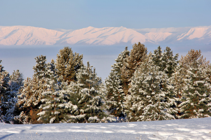 Удивительный природный заповедник Баргузин на озере Байкал
