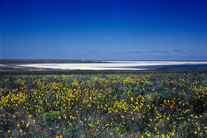 От игольчатого льда Байкала до степных тюльпанов: 8 идей для путешествий этой весной