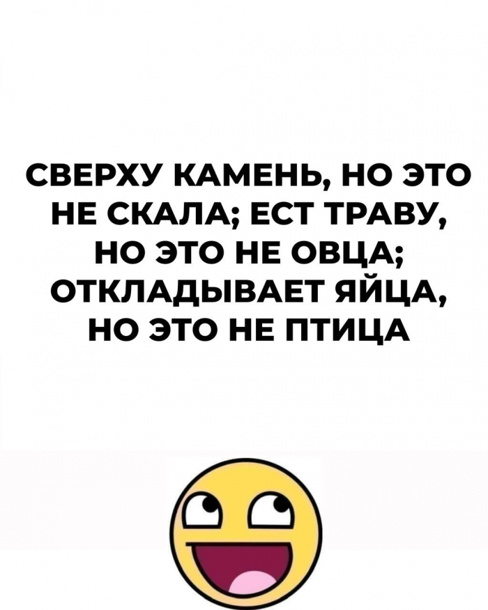 12 загадок, придуманных еще нашими бабушками, но мы гадаем над ними до сих пор