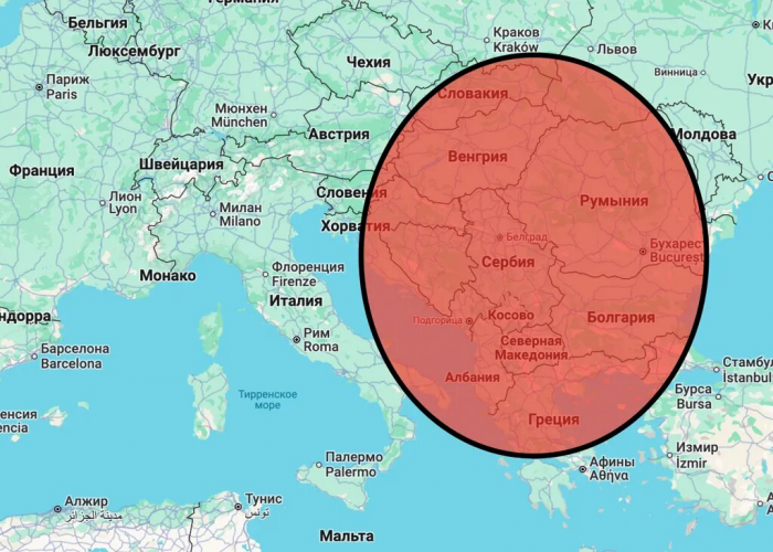 Сколько бурых медведей живёт в разных странах мира и на каком месте Россия?