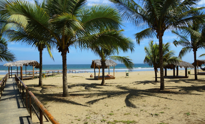 Зимовка за границей на российскую зарплату: 6 стран, где можно переждать холод