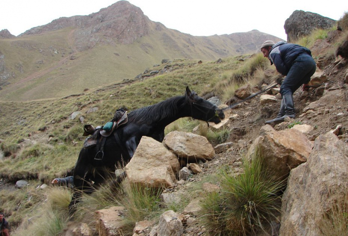 «Закрой глаза и держись за седло» Россиянка преодолела верхом на коне самые труднодоступные маршруты России. Как ей это удалось?