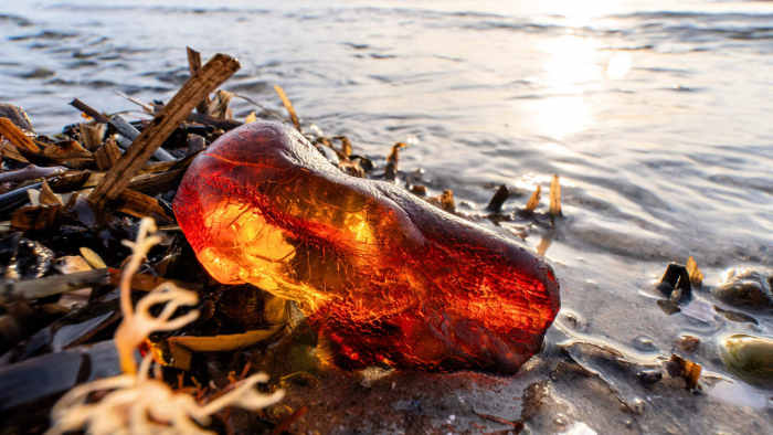 7 интересных фактов о янтаре, или Почему янтарь ценили фараоны