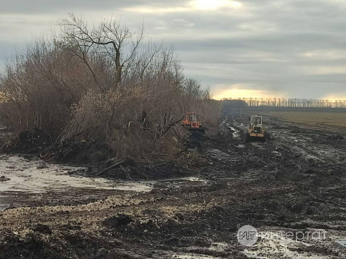 Татлы тамыр казып алына: Чөгендер басуында батмадык, шикәр заводына керә алмадык