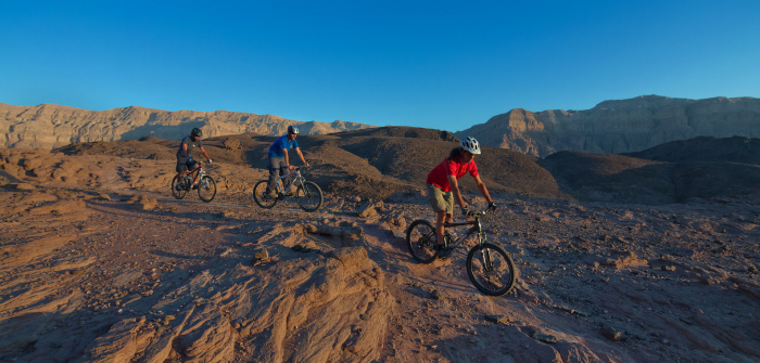 Горы, море и чёрнопятнистый иглобрюх: почему надо ехать в Израиль прямо сейчас
