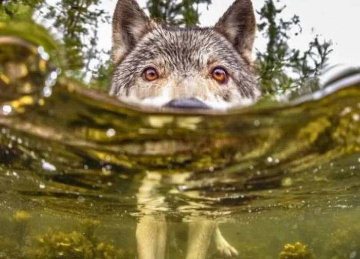 15 интересных фактов как доказательство, что всё не так банально, как кажется