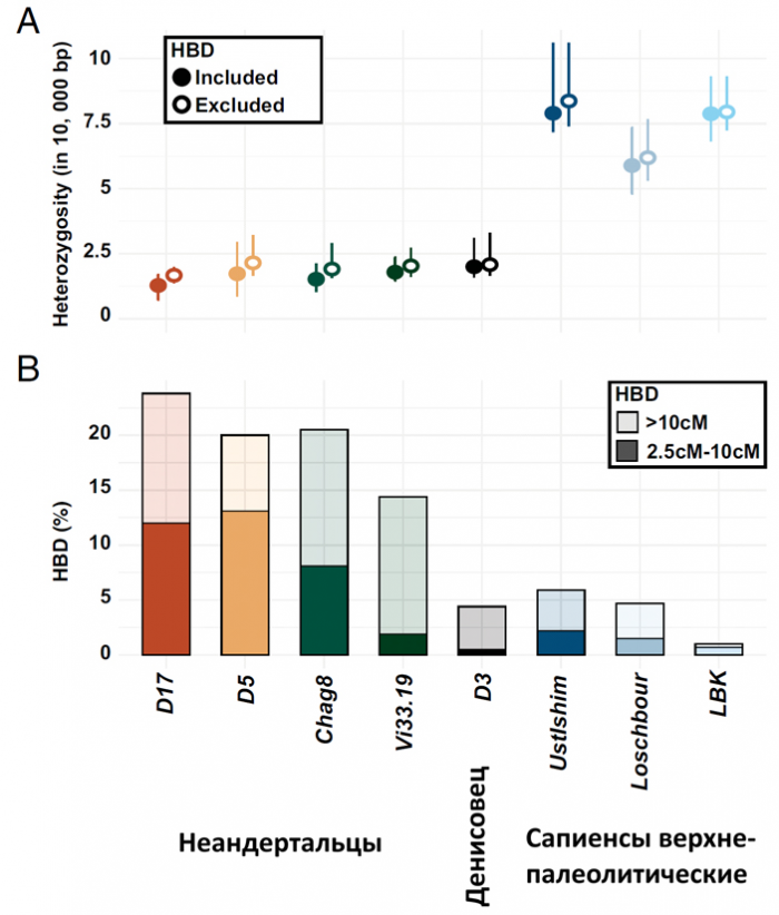 Геном неандертальца из Денисовой пещеры показал, что межпопуляционные различия у неандертальцев были больше, чем у современных людей