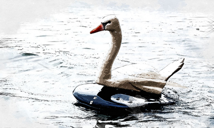 Лебединая одиссея под Орлом продлилась десять лет