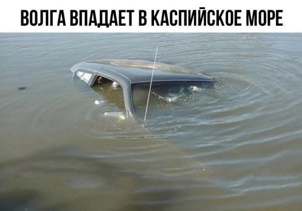 Смешные мемы и картинки о море
