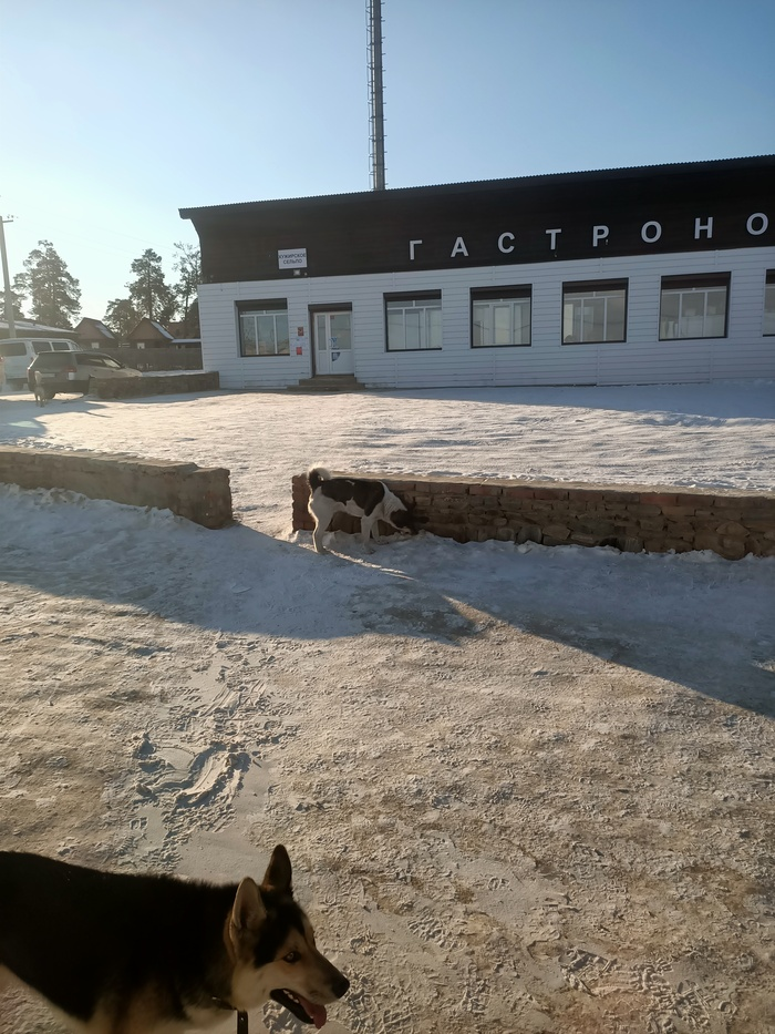 Байкал. Февраль 2023. День 9. В Иркутск