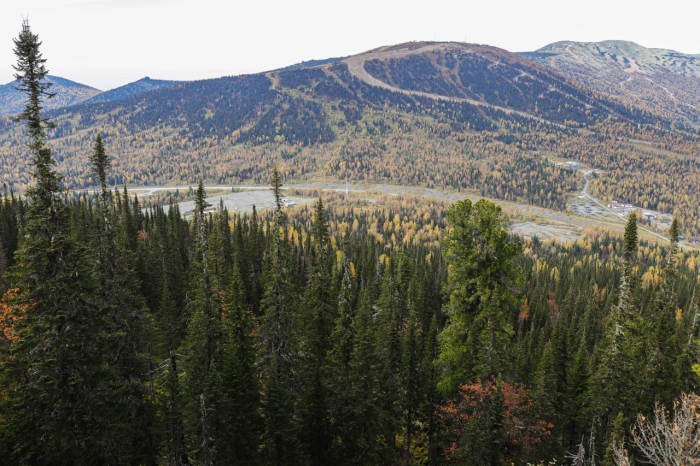 От пещеры до Таиланда. Уже два месяца продолжаются поиски пропавшей семьи Усольцевых