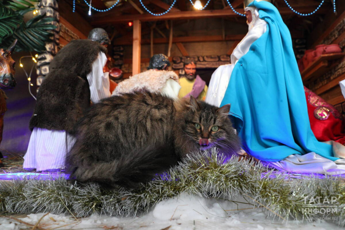 Экс-наместник Раифы: «Верю – Богородица найдет человека, который потрудится здесь»