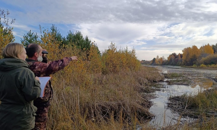 В Архангельской области ведётся осенний учёт птиц