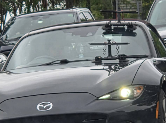 15 человек, которые нашли нечто непонятное и все гадали, что это