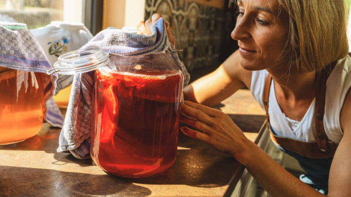 Чайный гриб: что скрывает живой «эликсир» из банки