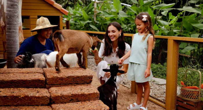 Романтический побег от реальности и полная перезагрузка: чем заняться в отпуске в феврале 2026