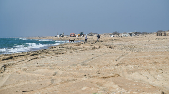 Эколог Витишко: пляжи Анапы не готовы к открытию летом, это будет ущерб имиджу