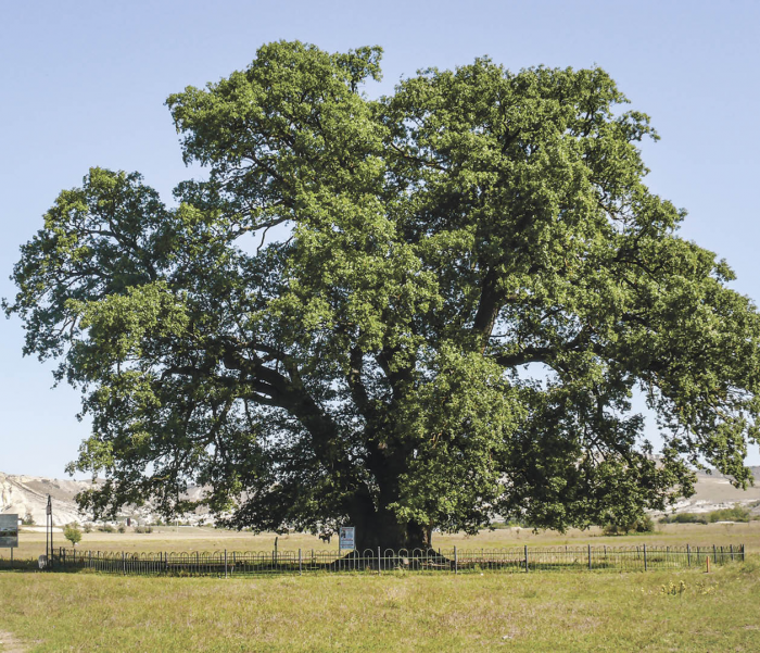 Turogo.ru - Туризм, охота и рыбалка