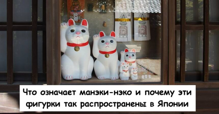 Turogo.ru - Туризм, охота и рыбалка