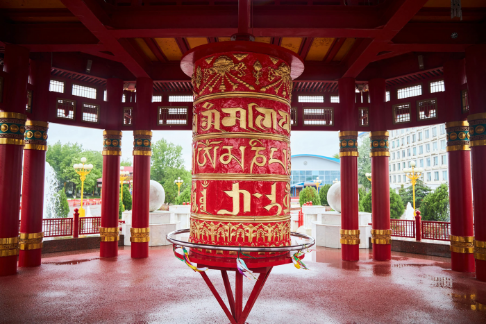 От игольчатого льда Байкала до степных тюльпанов: 8 идей для путешествий этой весной