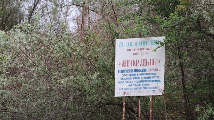 Дойбаны ,ПМР