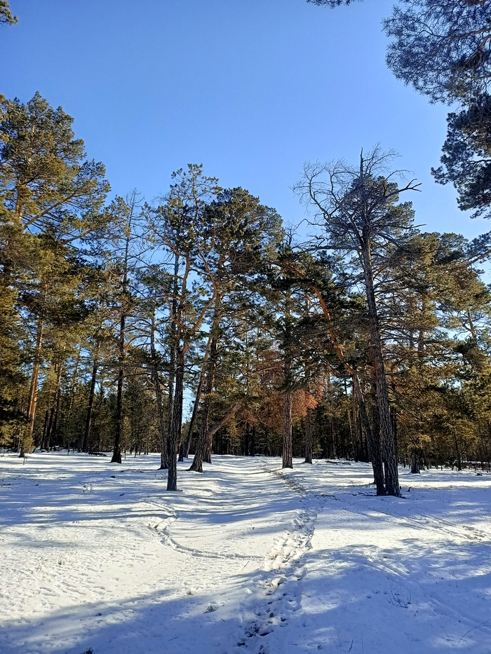 Байкал. Февраль 2023. День 6. Один на один (более 30 км пешки)