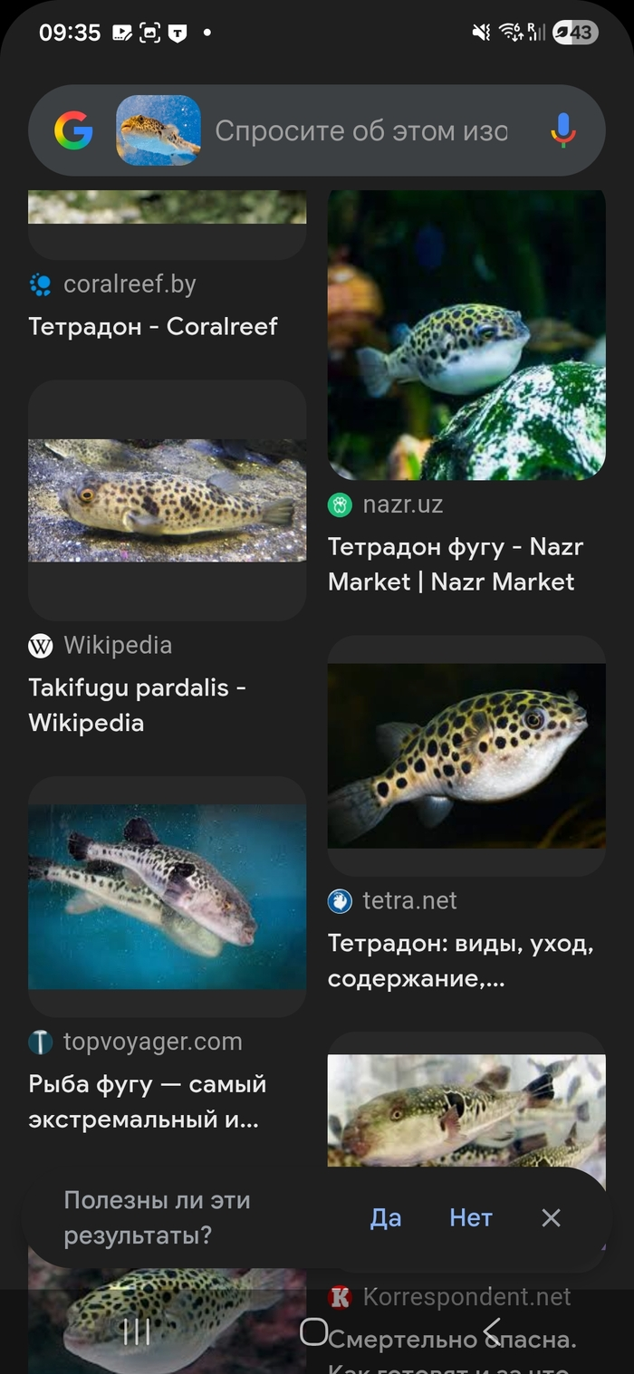 Улов рыбы Фугу, Турция (Сиде)